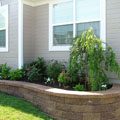 Retaining wall with weeping cherry