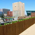 Rooftop garden